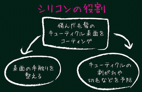 �V���R���̖���