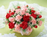 ���i�C���[�W